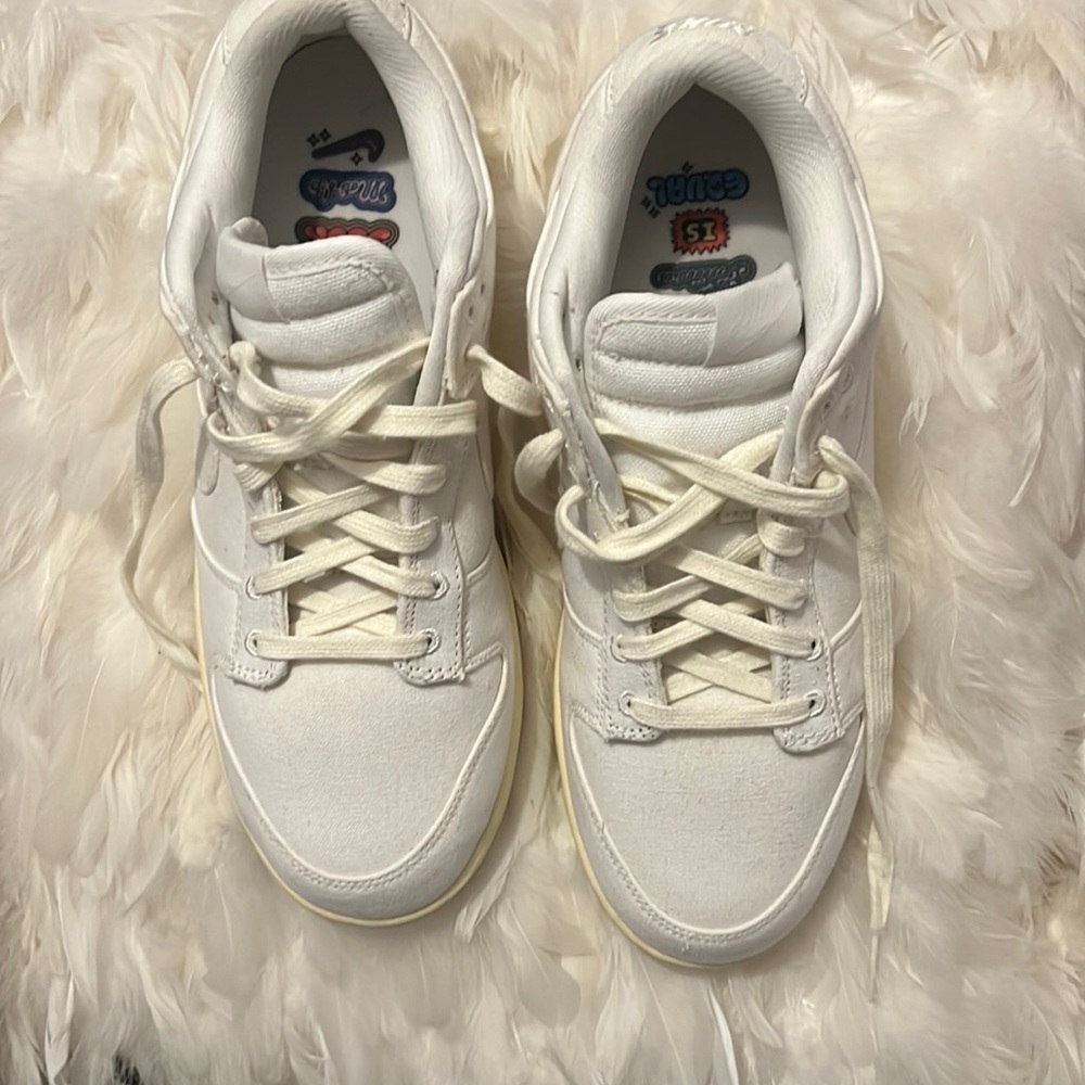 Nike Canvas dunk low SE The future is Equal